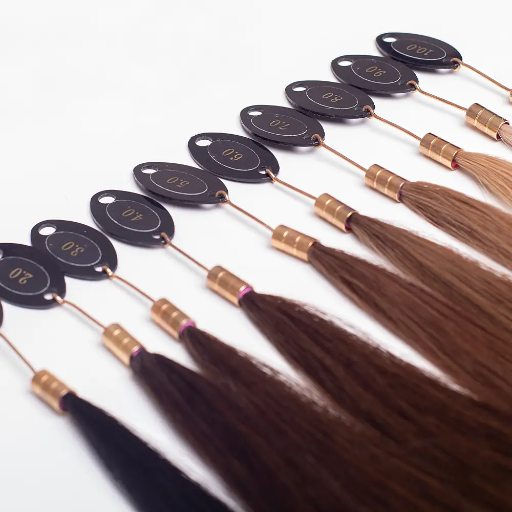 extensions